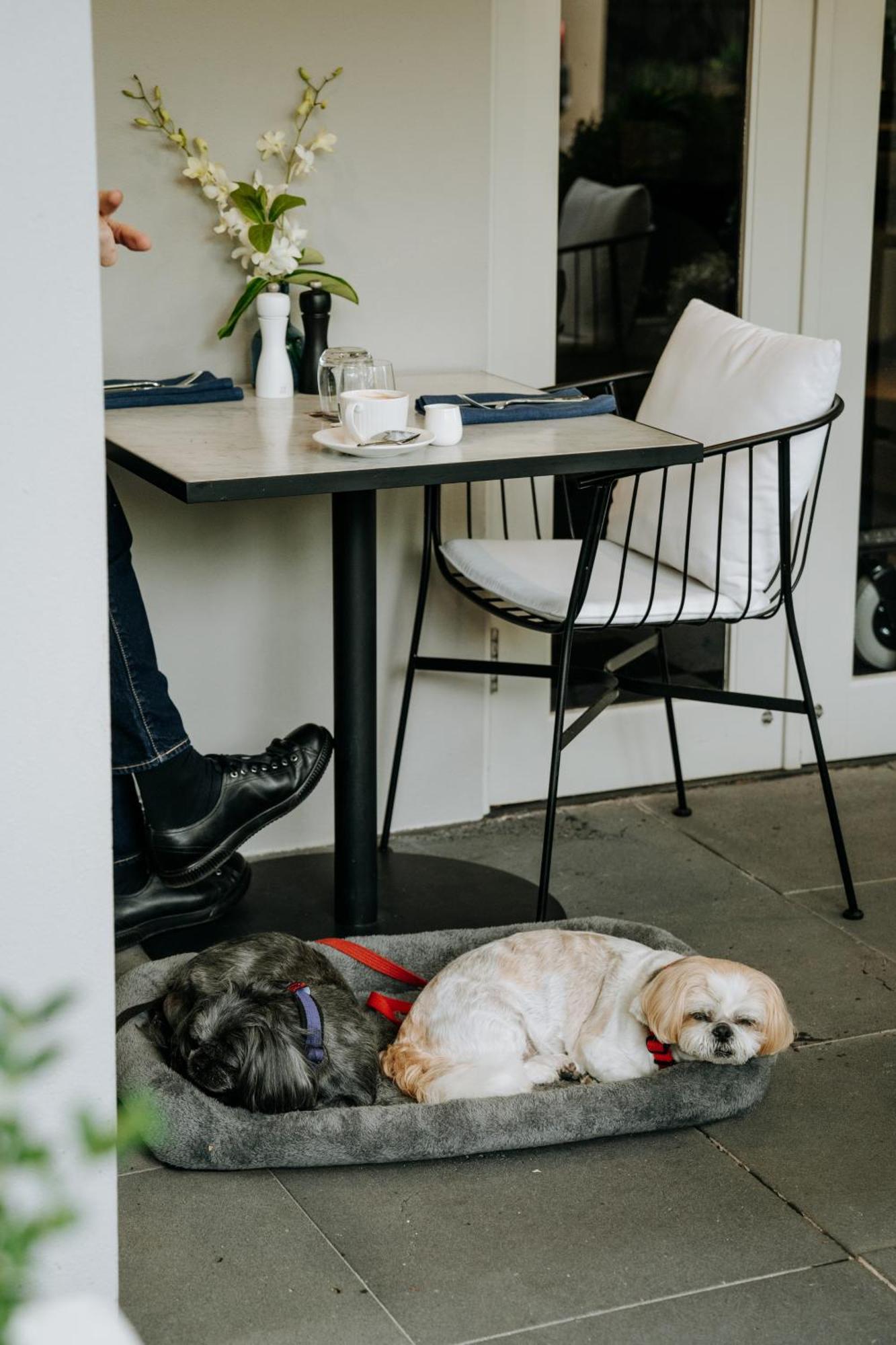 The Lyall Melbourne Esterno foto